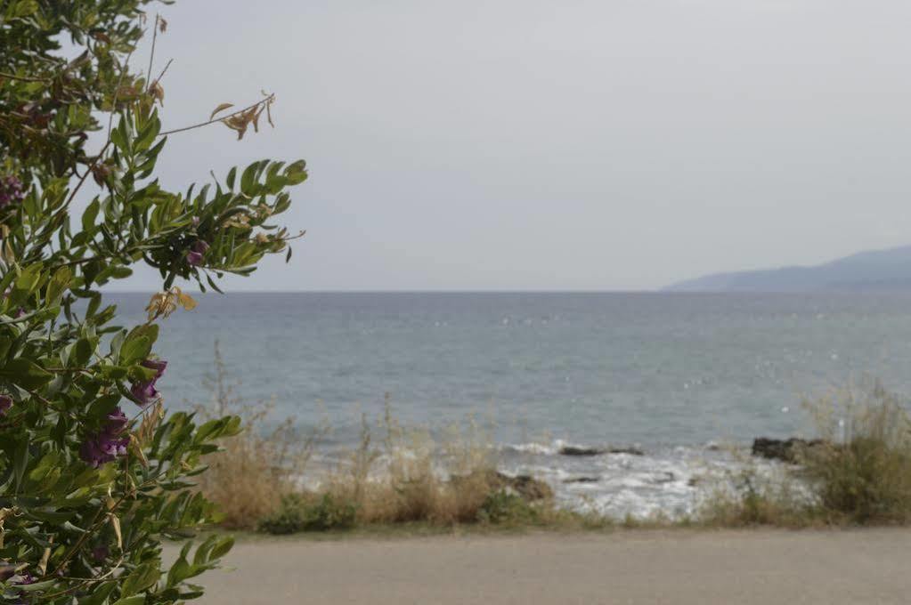Andromeda Apartments & Studios Hersonissos (Crete) Exterior foto